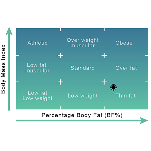 What is the "Thin Fat" body type?
