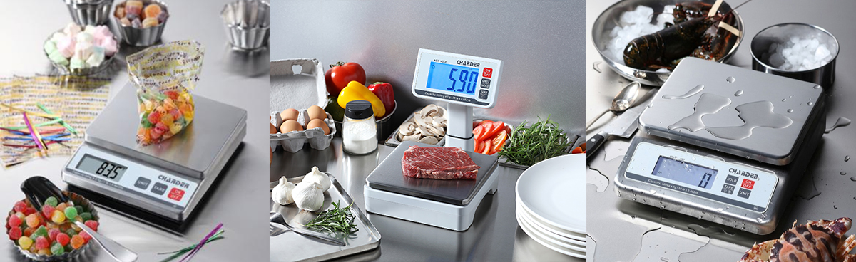 Professional Food Service Scales Professional Food Service Scales