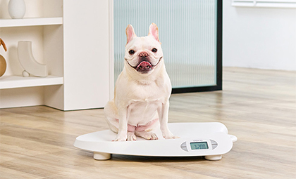 Veterinary Scales for Animals and Pets Veterinary Scales for Animals and Pets