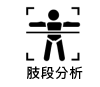 肢段分析