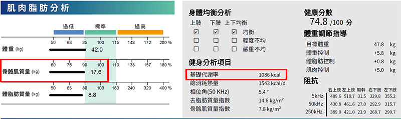 骨骼肌肉 基礎代謝率
