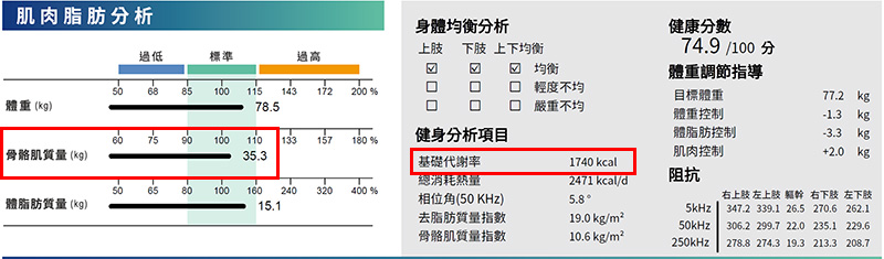骨骼肌肉 基礎代謝率