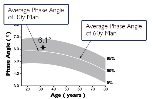 Phase Angle Percentile Chart Male