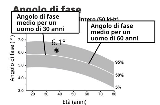Phase Angle Percentile Chart Male