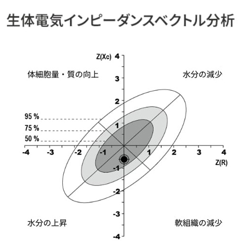 生体電気インピーダンスベクトル分析（BIVA）を理解する