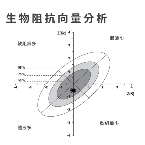 認識生物阻抗向量分析(BIVA)