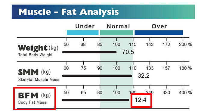 Percentile scale for body fat percentage in relation to age