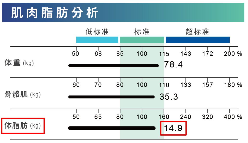 体成分分析 体脂肪