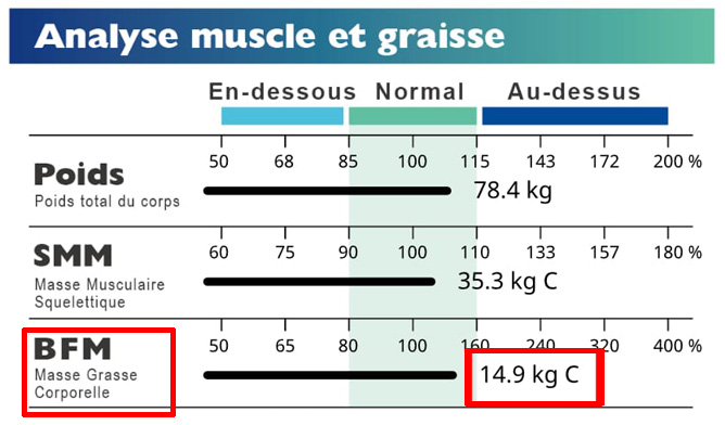 Body Composition Fat Mass Analysis