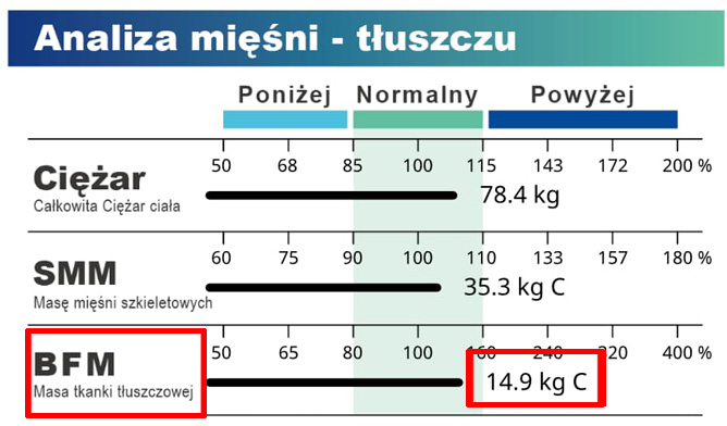 Body Composition Fat Mass Analysis