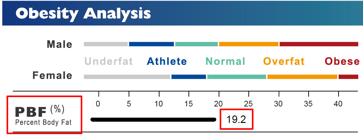 Body Fat Analysis