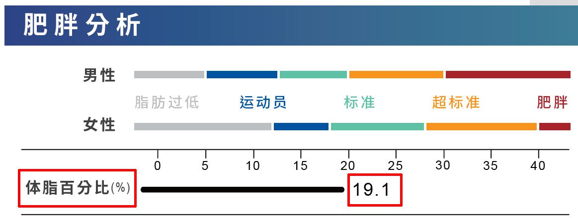体成分分析 体脂肪百分比