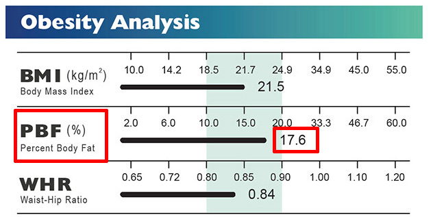 Medical Body Composition Result Sheet Obesity