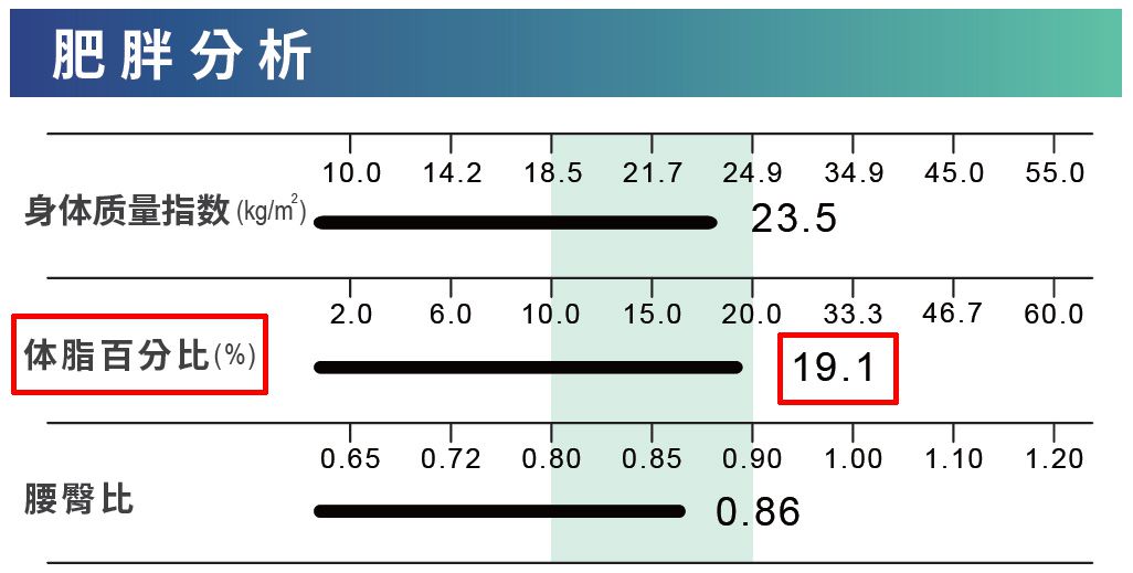 体成分分析 体脂肪百分比