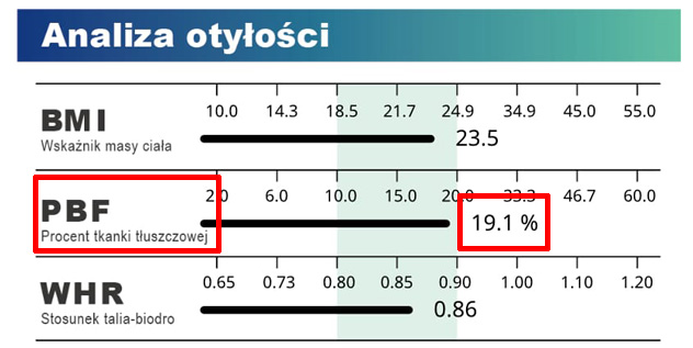 Medical Body Composition Result Sheet Obesity