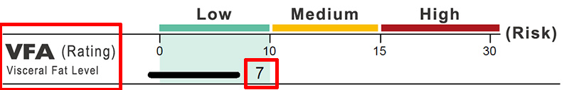 Abdominal Visceral Fat Level