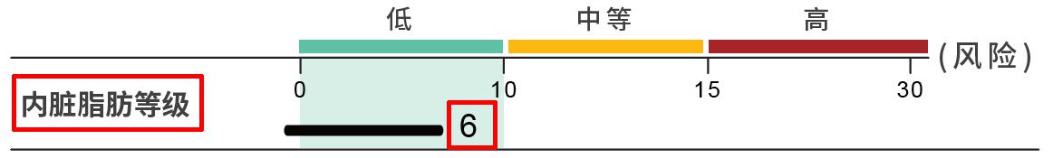 腹部内脏脂肪等级