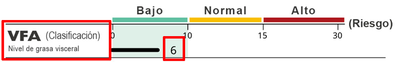 Abdominal Visceral Fat Level
