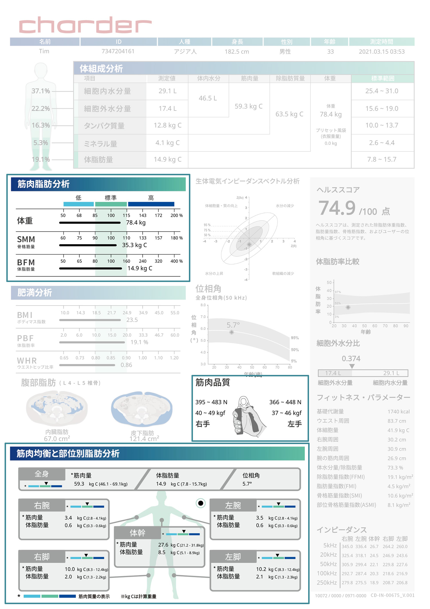 スタンダードレポート
