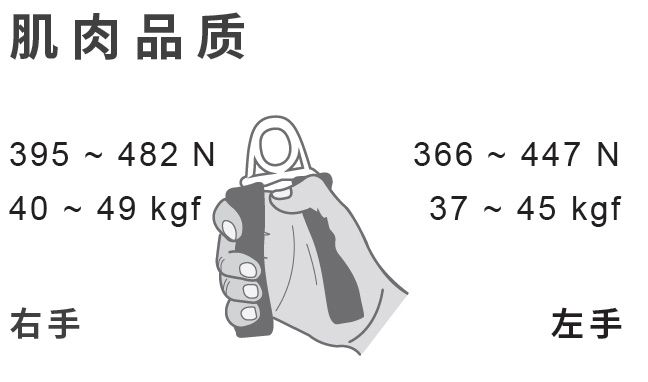 医疔报表 肌肉品质