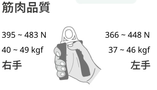 醫療報表 肌肉品質