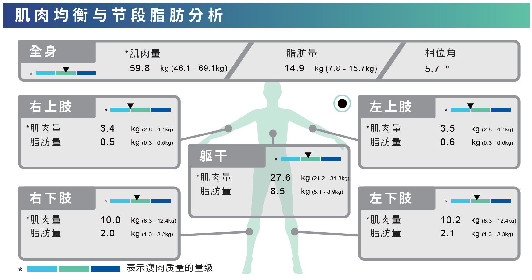 肢段肌肉脂肪分析