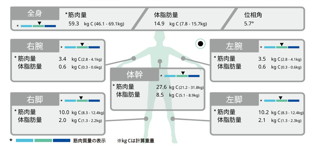 部位筋肉分析