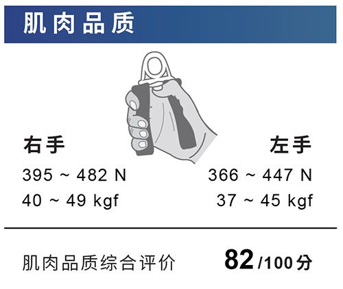 标准报表 肌肉品质