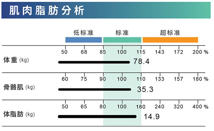 肌肉脂肪比例