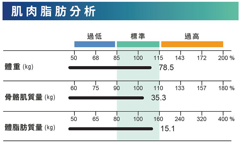 肌肉脂肪比例