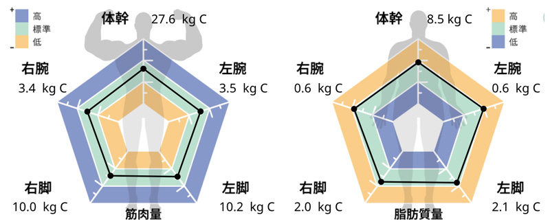 肢段肌肉脂肪分析 雷達圖