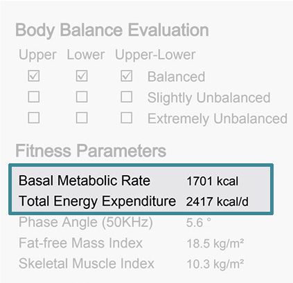 Basal Metabolic Rate for Standard Result Sheet