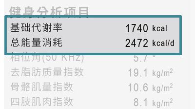 基础代谢率