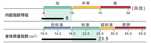 内脏脂肪指数