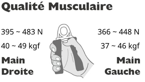 Muscle Quality Grip Strength