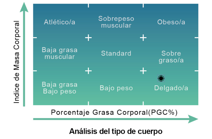 Body Composition Analysis Thin Fat
