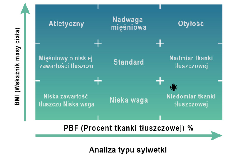 Analiza składu ciała cienki-gruby