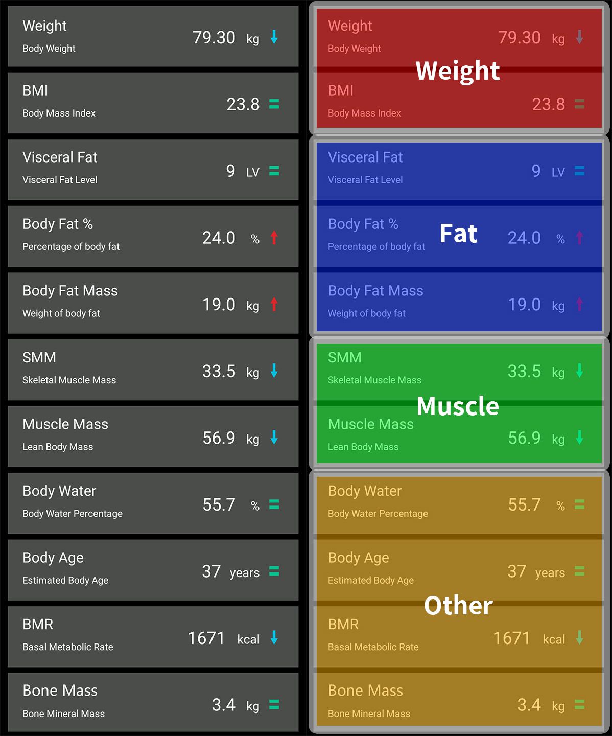 U310 Body Composition Analyzer, Intuitive & User-friendly Interface