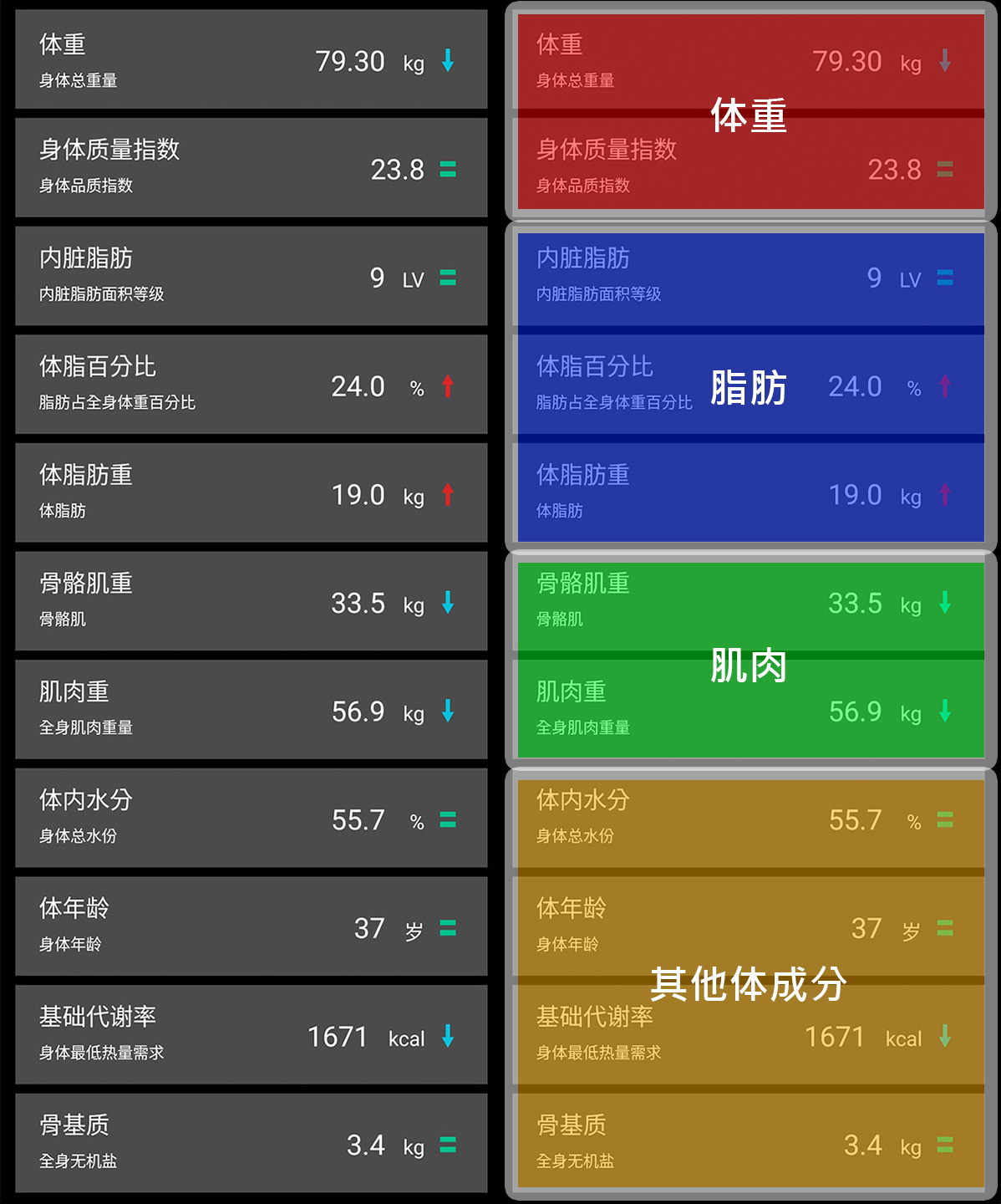 ProScan 體成分分析