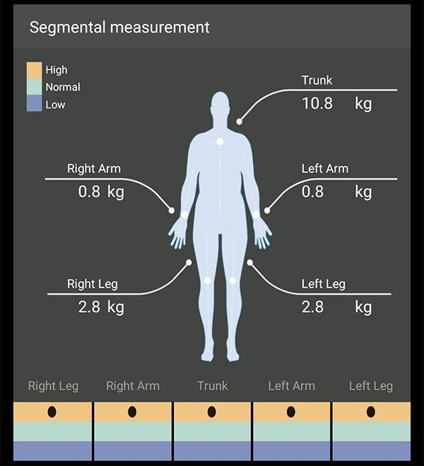 Charder ProScan Segmental Fat