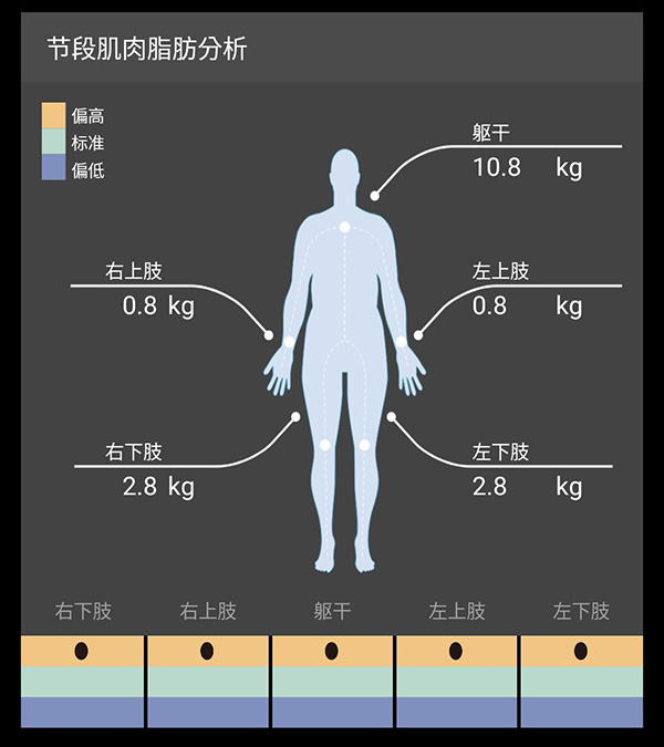 ProScan 肢段脂肪