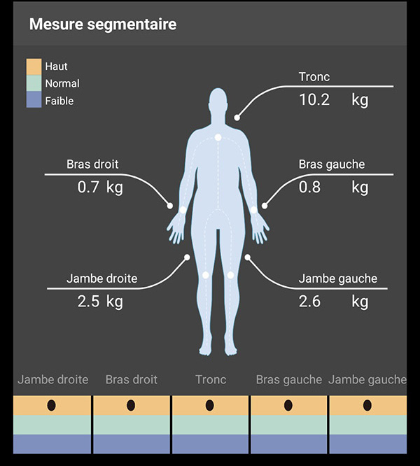 Charder ProScan Segmental Fat