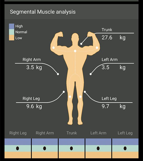 Charder ProScan Segmental Muscle