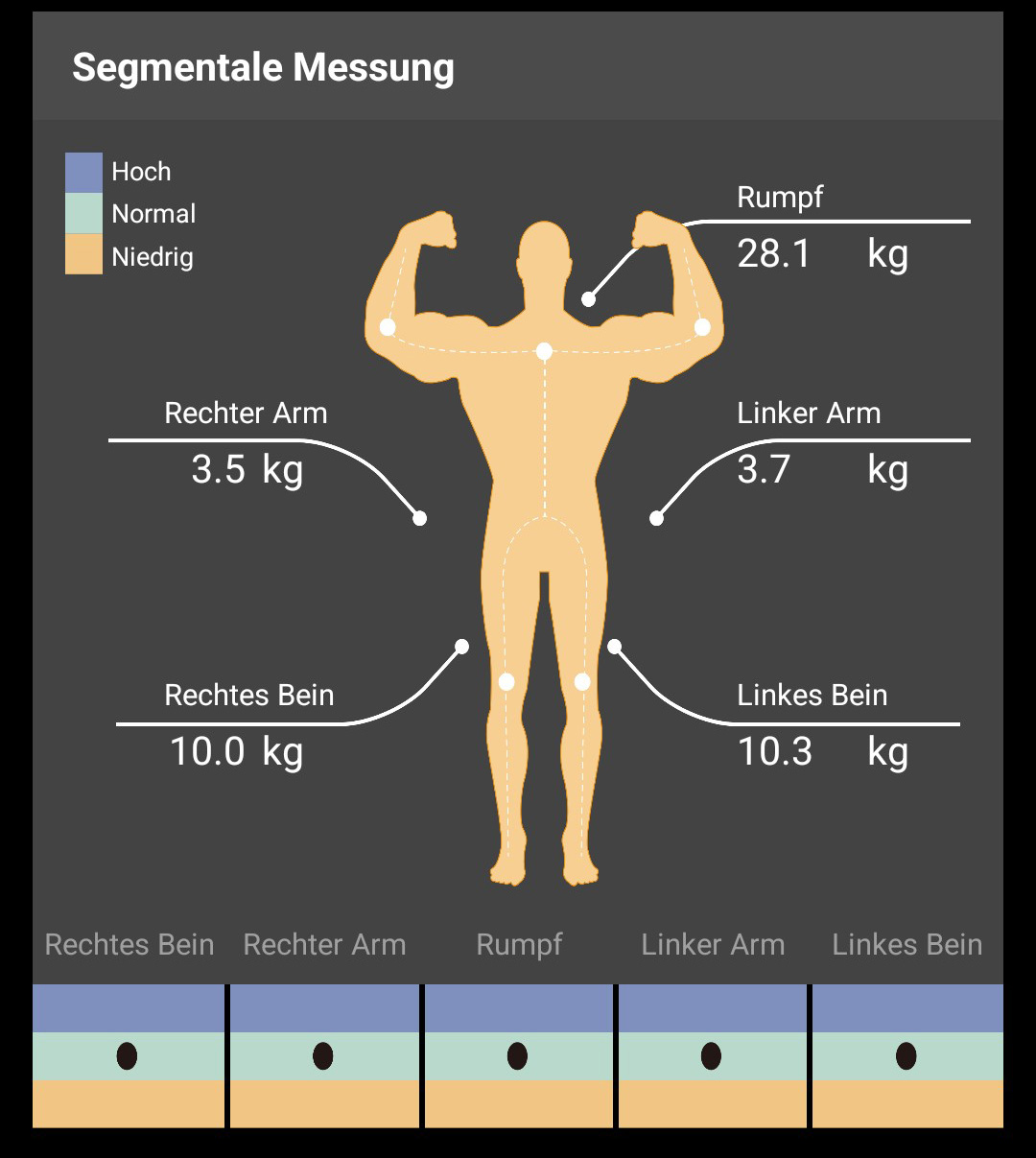 Charder ProScan Segmental Muscle