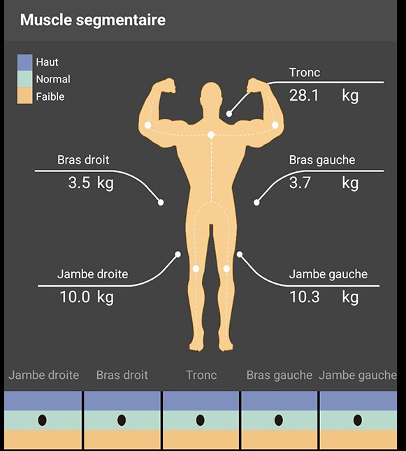 Charder ProScan Segmental Muscle