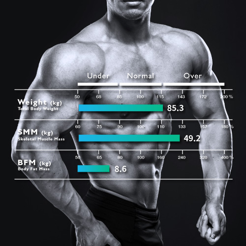 Body Fat %