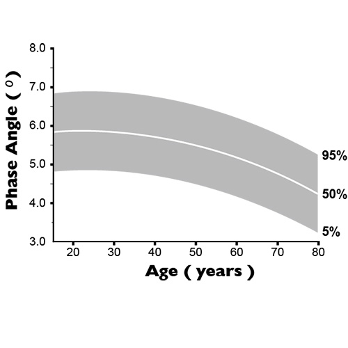 Why is Phase Angle referred to as "Body Age"?