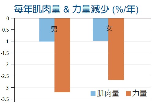 力氣和肌肉變化