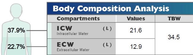 Body Water