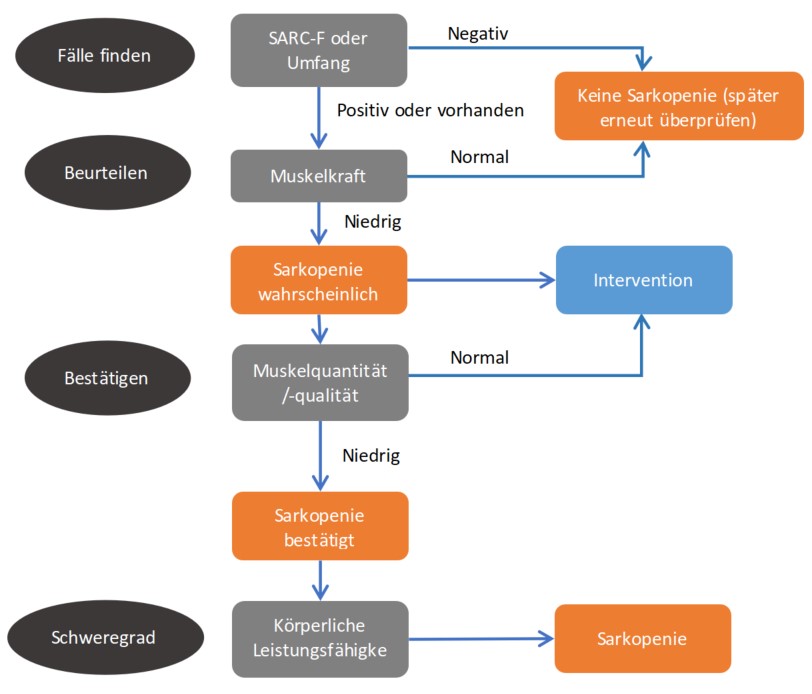 Sarcopenia Assessment Flowchart